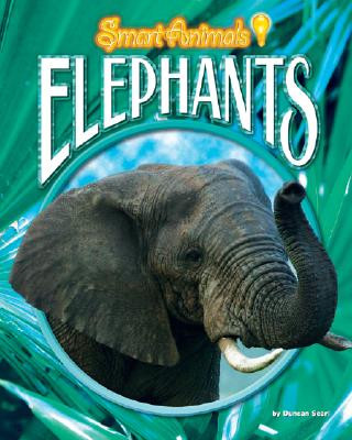 Carte Elephants Duncan Searl