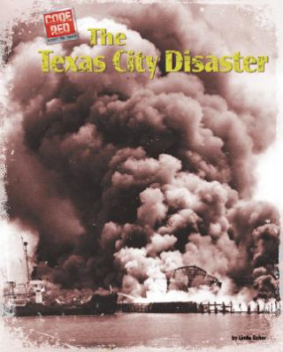 Книга The Texas City Disaster Linda Scher