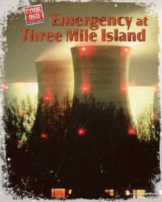 Könyv Emergency at Three Mile Island Aaron Feigenbaum