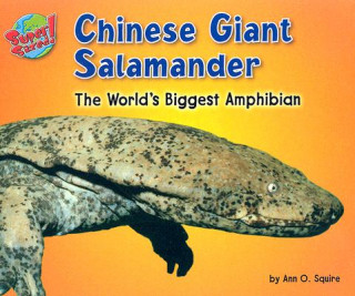 Kniha Chinese Giant Salamander: The World's Biggest Amphibian Ann O. Squire