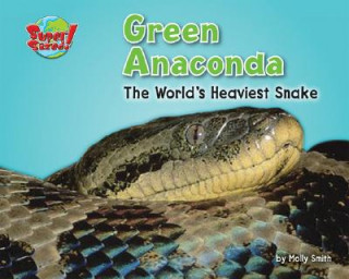 Kniha Green Anaconda: The World's Heaviest Snake Molly Smith