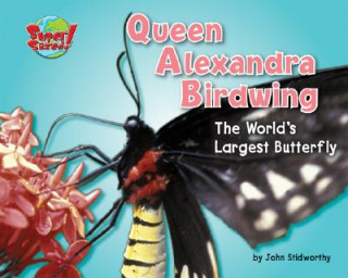 Carte Queen Alexandra Birdwing: The World's Largest Butterfly John Stidworthy