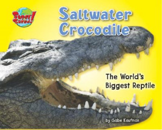 Książka Saltwater Crocodile: The World's Biggest Reptile Gabriel Kaufman