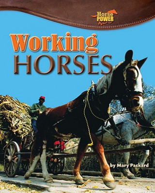 Kniha Working Horses Mary Packard