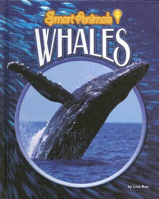 Carte Whales Lisa Rao