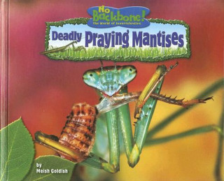 Książka Deadly Praying Mantises Meish Goldish