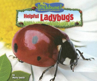 Kniha Helpful Ladybugs Molly Smith