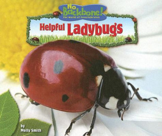 Buch Helpful Ladybugs Molly Smith