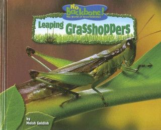 Carte Leaping Grasshoppers Meish Goldish