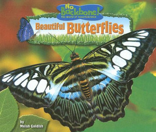 Kniha Beautiful Butterflies Meish Goldish