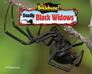 Könyv Deadly Black Widows Natalie Lunis
