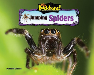 Kniha Jumping Spiders Meish Goldish