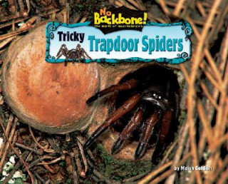 Kniha Tricky Trapdoor Spiders Meish Goldish