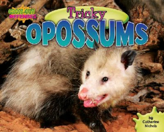 Buch Tricky Opossums Catherine Nichols