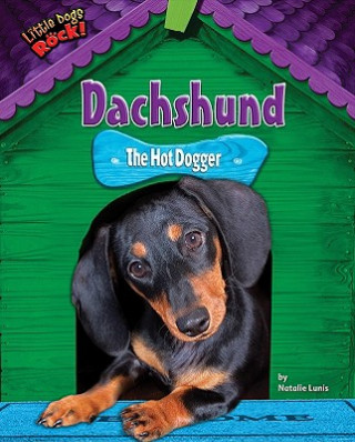 Buch Dachshund: The Hot Dogger Natalie Lunis