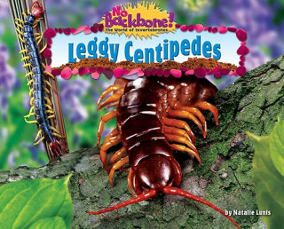 Książka Leggy Centipedes Natalie Lunis