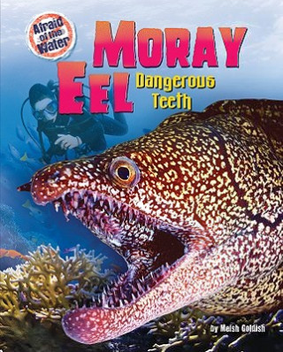 Carte Moray Eel: Dangerous Teeth Meish Goldish