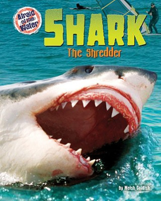 Kniha Shark: The Shredder Meish Goldish