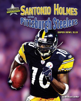 Buch Santonio Holmes and the Pittsburgh Steelers: Super Bowl XLIII Michael Sandler