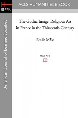 Carte The Gothic Image: Religious Art in France in the Thirteenth-Century Emile M[le