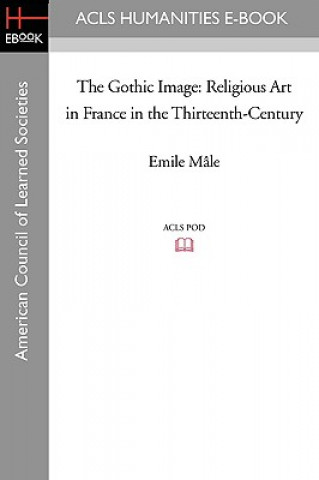 Βιβλίο The Gothic Image: Religious Art in France in the Thirteenth-Century Emile M[le