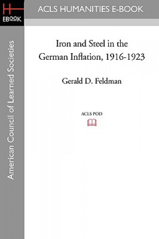 Kniha Iron and Steel in the German Inflation, 1916-1923 Gerald D. Feldman