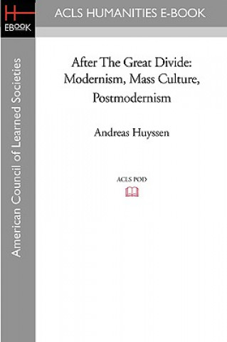 Buch After the Great Divide: Modernism, Mass Culture, Postmodernism Andreas Huyssen