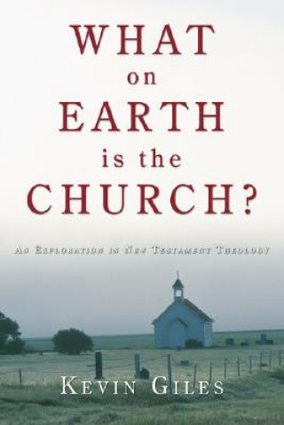 Buch What on Earth Is the Church?: An Exploration in New Testament Theology Kevin Giles