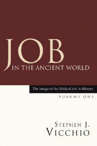 Kniha Job in the Ancient World Stephen J. Vicchio