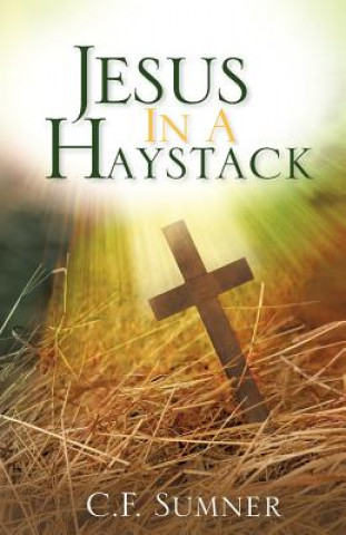 Knjiga Jesus in a Haystack C. F. Sumner