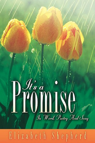 Könyv It's a Promise Elizabeth Shepherd