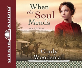 Audio When the Soul Mends Jill Shellabarger