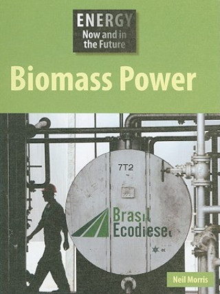 Kniha Biomass Power Neil Morris