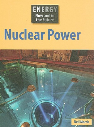 Book Nuclear Power Neil Morris
