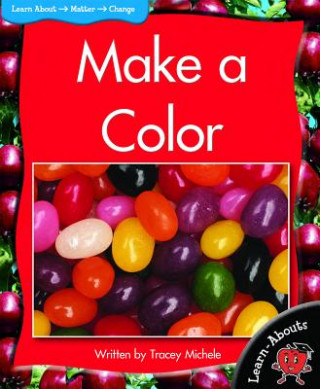 Kniha Make a Color Tracey Michele