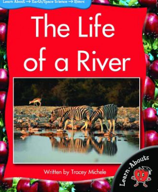 Kniha The Life of a River Tracey Michele