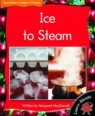 Könyv Ice to Steam Margaret MacDonald