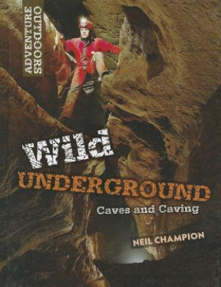 Książka Wild Underground: Caves and Caving Neil Champion