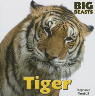 Βιβλίο Tiger Stephanie Turnbull