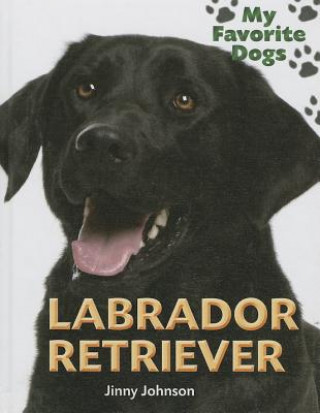 Carte Labrador Retriever Jinny Johnson