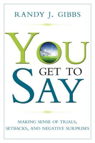 Buch You Get to Say: Making Sense of Trials, Setbacks, and Negative Surprises Randy Gibbs