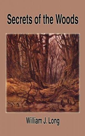 Kniha Secrets of the Woods William J. Long