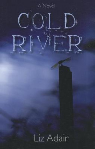 Könyv Cold River Liz Adair