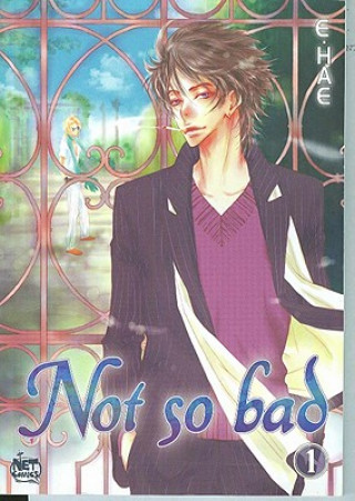 Kniha Not So Bad: Volume 1 E. Hae