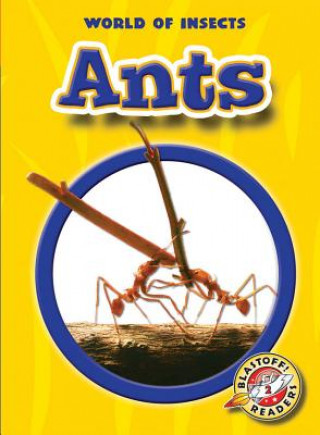 Könyv Ants Emily K. Green