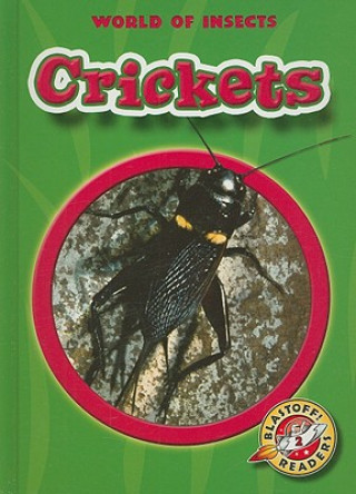 Livro Crickets Emily K. Green