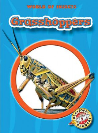 Kniha Grasshoppers Emily K. Green
