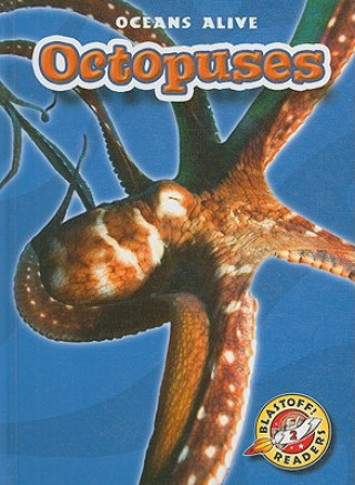 Könyv Octopuses Ann Herriges