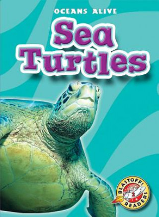 Kniha Sea Turtles Ann Herriges