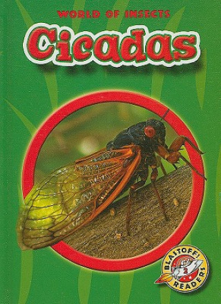 Buch Cicadas Colleen A. Sexton